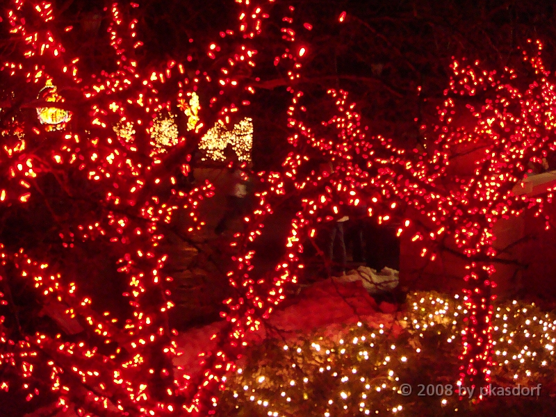 026 Toledo Zoo Light Show [2008 Dec 27].JPG - Scenes from the Toledo Zoo Light Show.